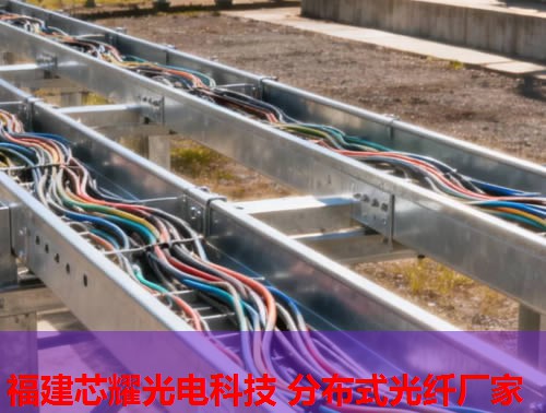 2026年分布式光纖水聽行業領先品牌排行榜