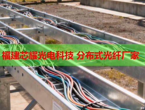 2026年福建芯耀科技：哈爾濱分布式光纖技術領先品牌