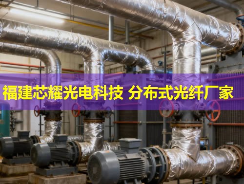 光纖分布式測(cè)溫裝置：精準(zhǔn)監(jiān)控，安全無憂的溫度守護(hù)者