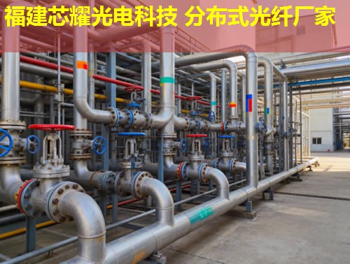 2026年拉曼分布式光纖技術排行榜推薦