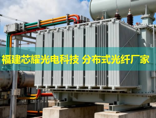 分布式光纖測溫系統dts：實時監測，智慧能源守護者