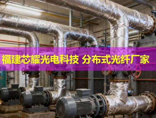 上海分布式光纖檢測技術如何提升城市通信安全？行業領先方案詳解。