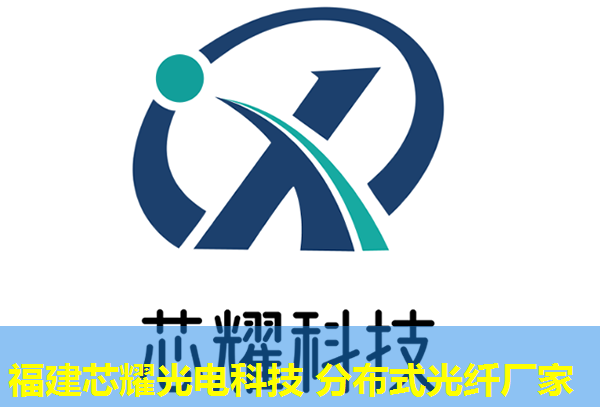 光纖分布式數據技術革新，助力未來智能網絡建設