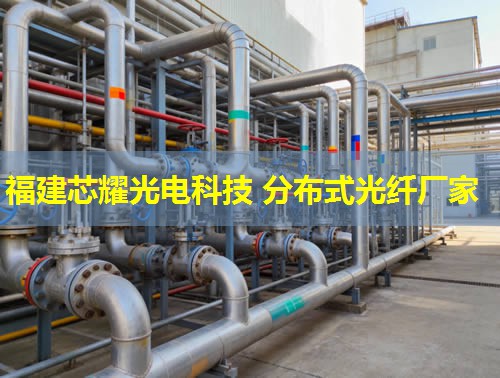 2026福建芯耀科技：分布式光纖接頭領航者排行榜