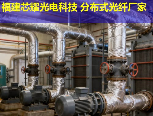 分布式光纖地面采集系統究竟有何優勢？答案：實時監測，精準數據采集