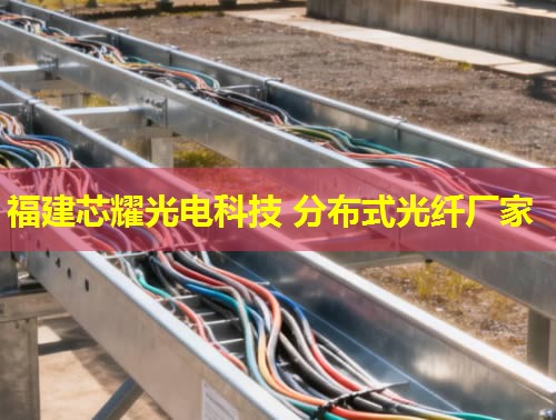 2026福建芯耀科技：分布式光纖振動采集領跑者