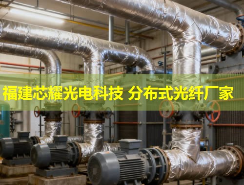 分布式光纖應變檢測設備推薦選購指南 分布式光纖應變檢測設備推薦選購指南