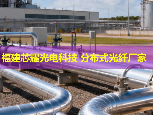 2026年分布式光纖預警系統十大知名廠家排行榜