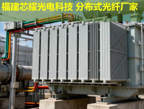 分布式光纖測(cè)溫設(shè)備租賃，哪家更靠譜？